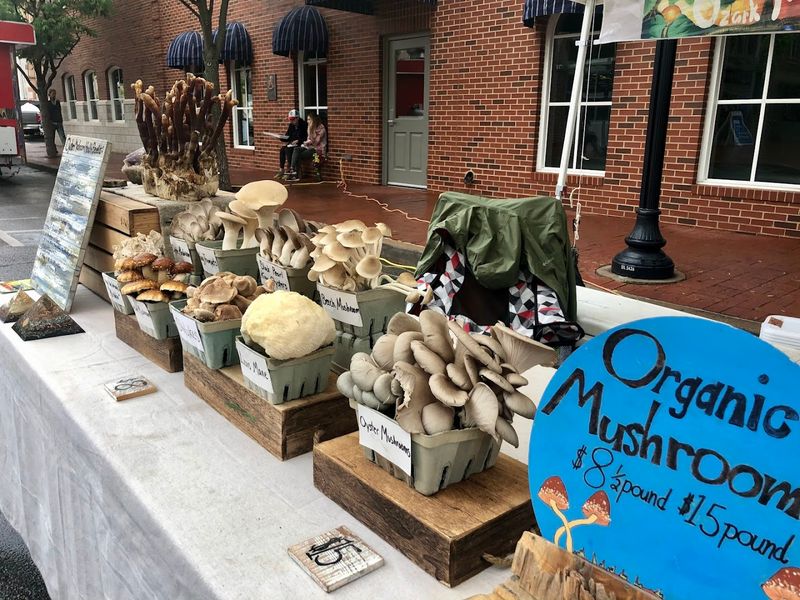 Bentonville Farmers Market, Bentonville