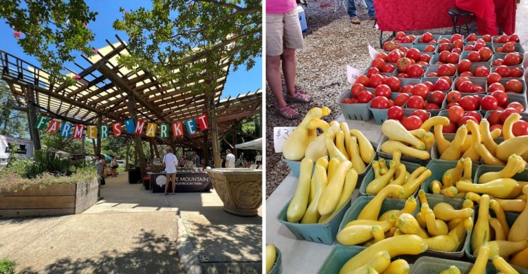9 Must-Visit Farmers Markets Across Arkansas This May