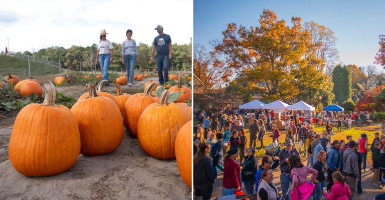 9 New Jersey Fall Festivals Where The Food Steals The Spotlight