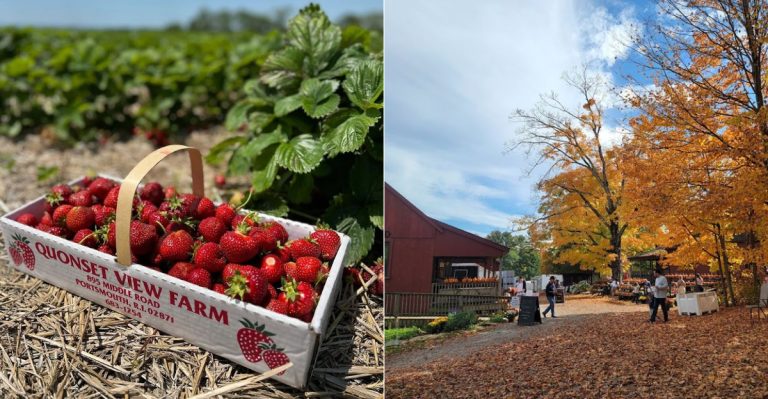 9 Rhode Island Farm Markets Where Fresh Berries, Baked Goods, And Coastal Country Roads Make Summer Sweeter