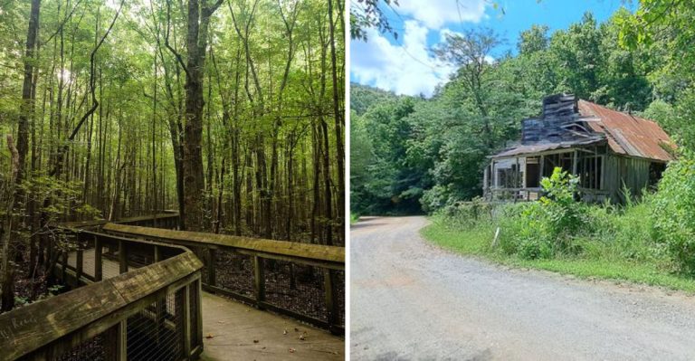 9 Scenic Arkansas Hikes That Take You Straight Into The State’s Fascinating Past