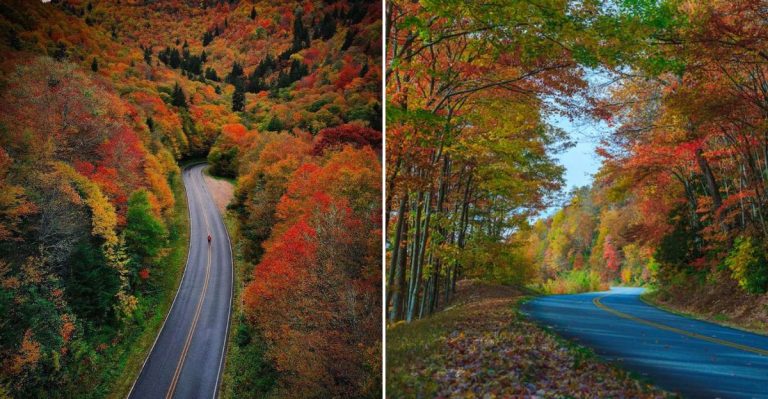 9 Scenic North Carolina Drives That Show Off Fall Foliage At Its Best