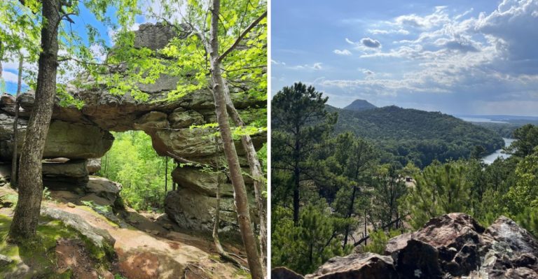 9 Short Arkansas Adventures That Pack A Big Scenic Punch In 2026