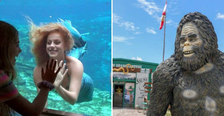9 Strange Florida Destinations Perfect For Offbeat Adventures
