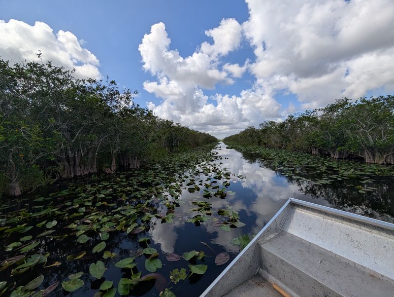 Airboat Ride Through The River Of Grass