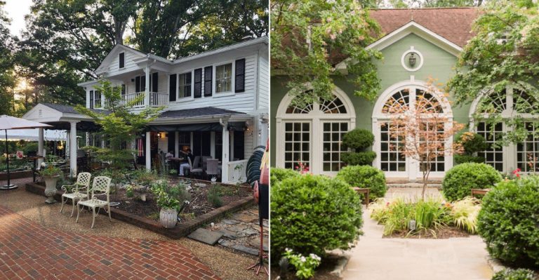9 Virginia Farm Restaurants Where Sunday Brunch Comes With Peaceful Country Views