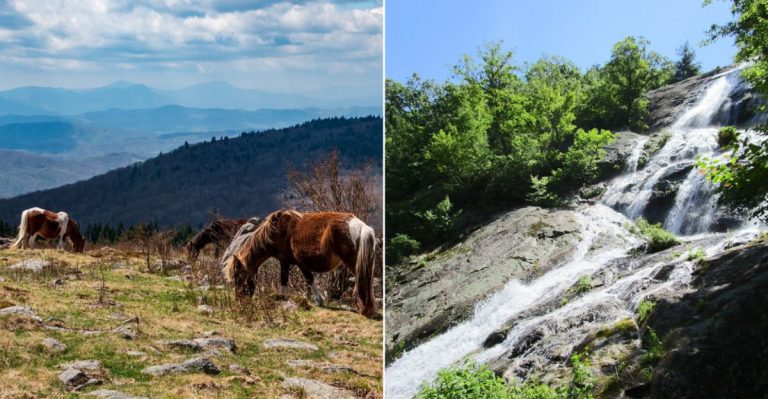 9 Virginia Hikes That Lead To Rock Mazes, Mountain Views, And Hidden Natural Drama