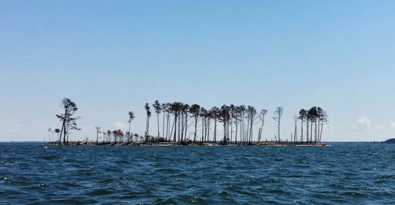 7 Virginia Islands Locals Say Have Lost Their Coastal Charm