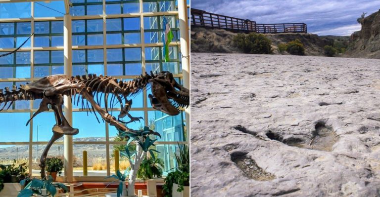 9 Wyoming Dinosaur Stops So Cool You’ll Act Like A Kid With Every Fossil You See