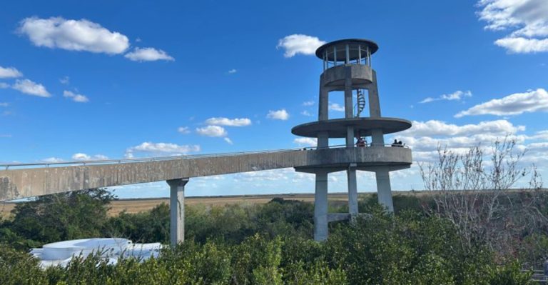 A 15-Mile Scenic Trail In Florida Offers A Front-Row View Of The Everglades