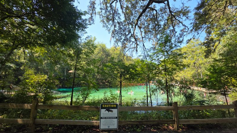 Fanning Springs Starting Point