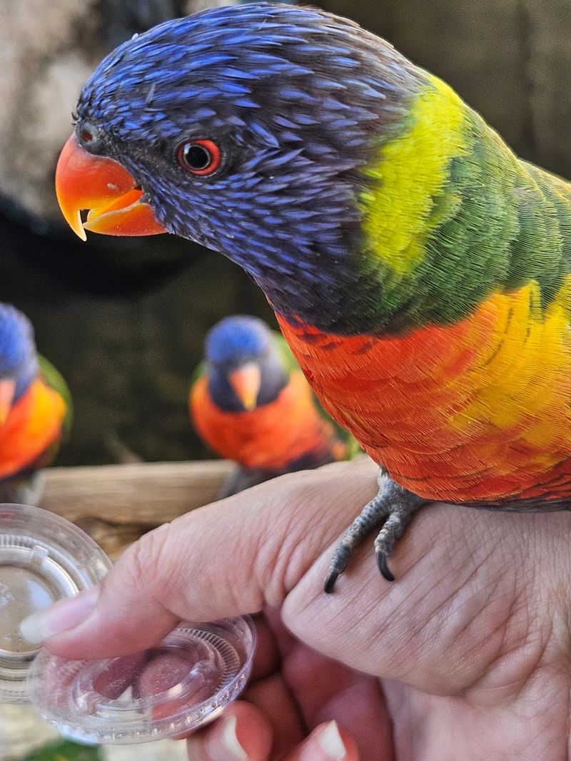 A 5,000-Square-Foot Burst of Tropical Color