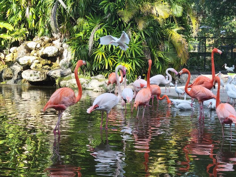 A 60-Acre Sanctuary That Feels Worlds Away From The City A 60-Acre Sanctuary That Feels Worlds Away From The City