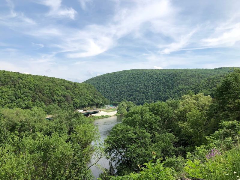 Wildlife Watching Opportunities That Rival Dedicated Nature Reserves