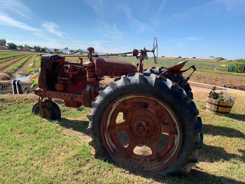 A Barrel Train And A Cannon Full Of Tomatoes