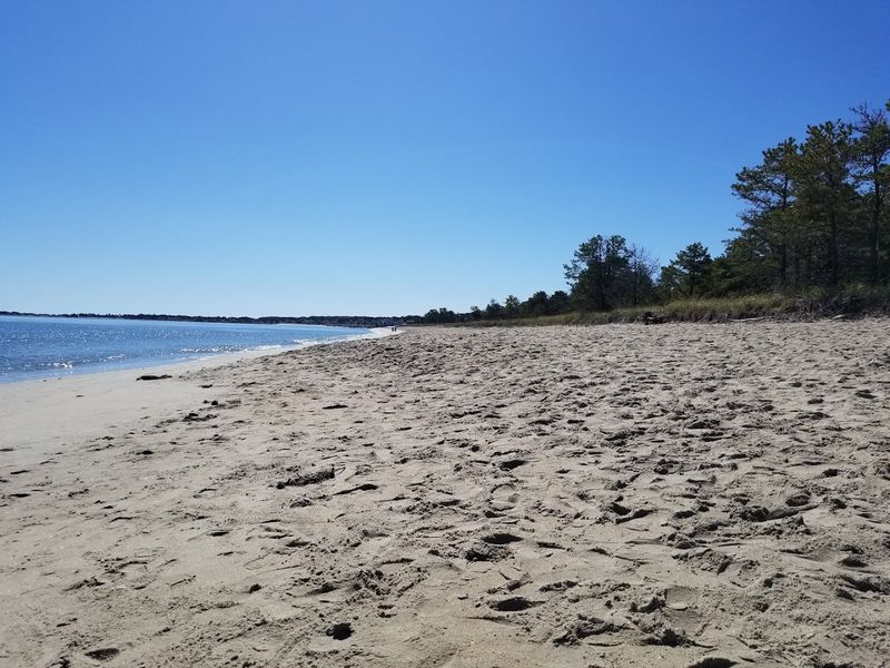 A Beach Day On A Budget