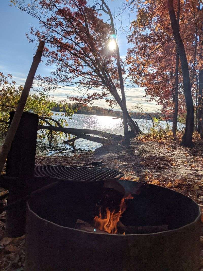 Campfire Nights And Starry Skies