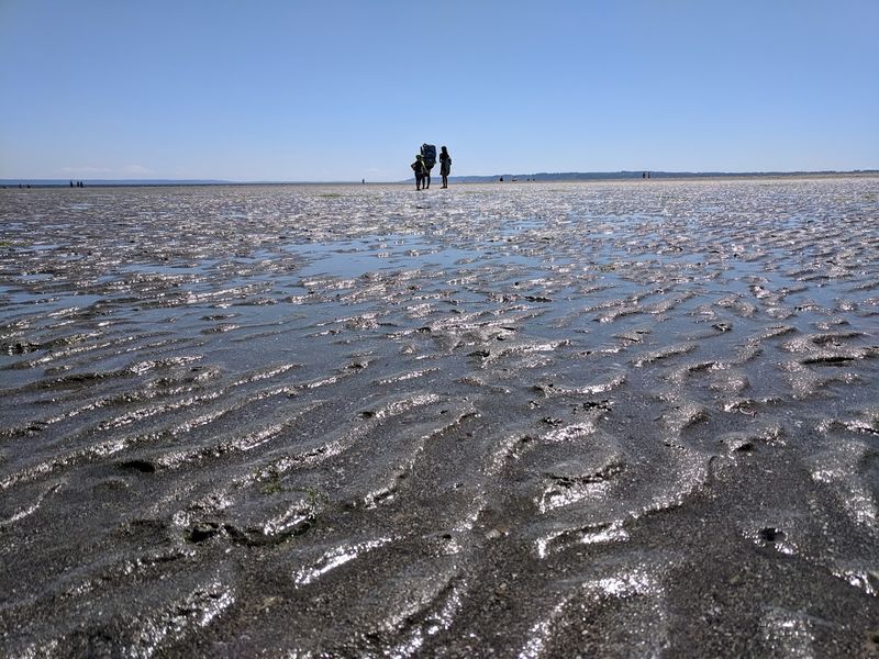 A Beach Gets Bigger When The Tide Goes Out A Beach Gets Bigger When The Tide Goes Out