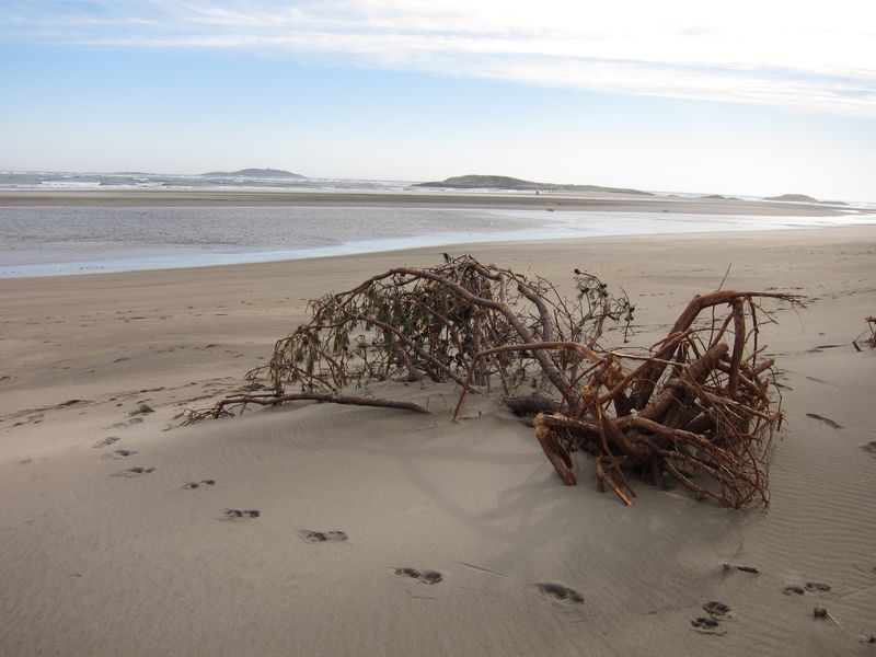 A Beach That Never Sits Still A Beach That Never Sits Still