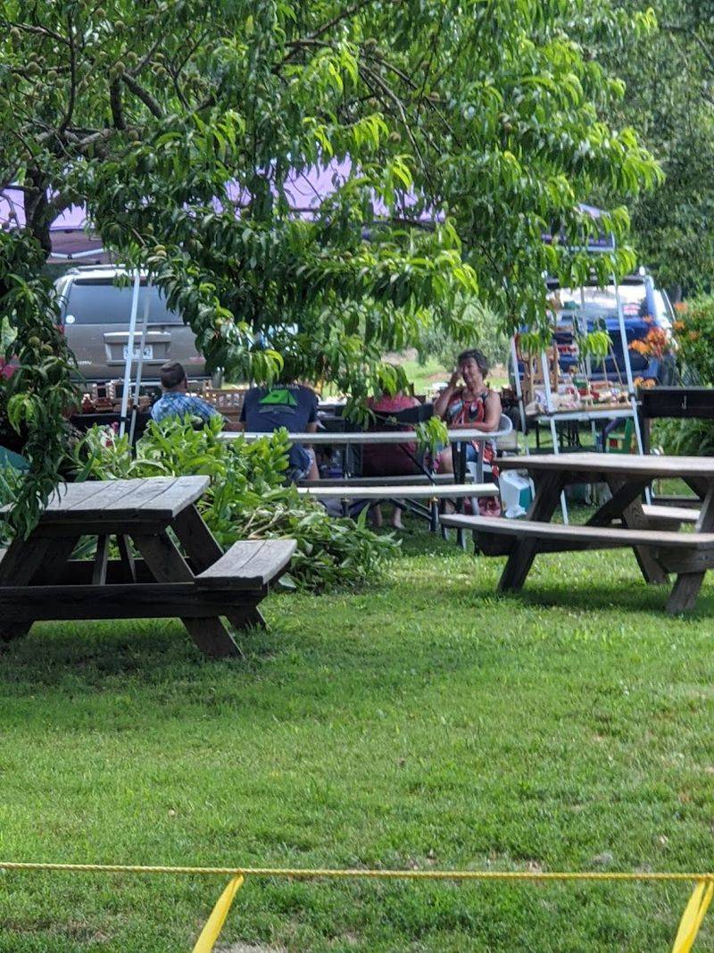 A Berry-Lined Escape In The Ozarks