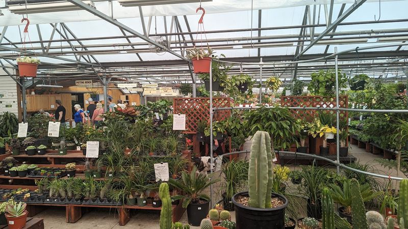 A Big Retail Nursery That Still Rewards Slow Browsing