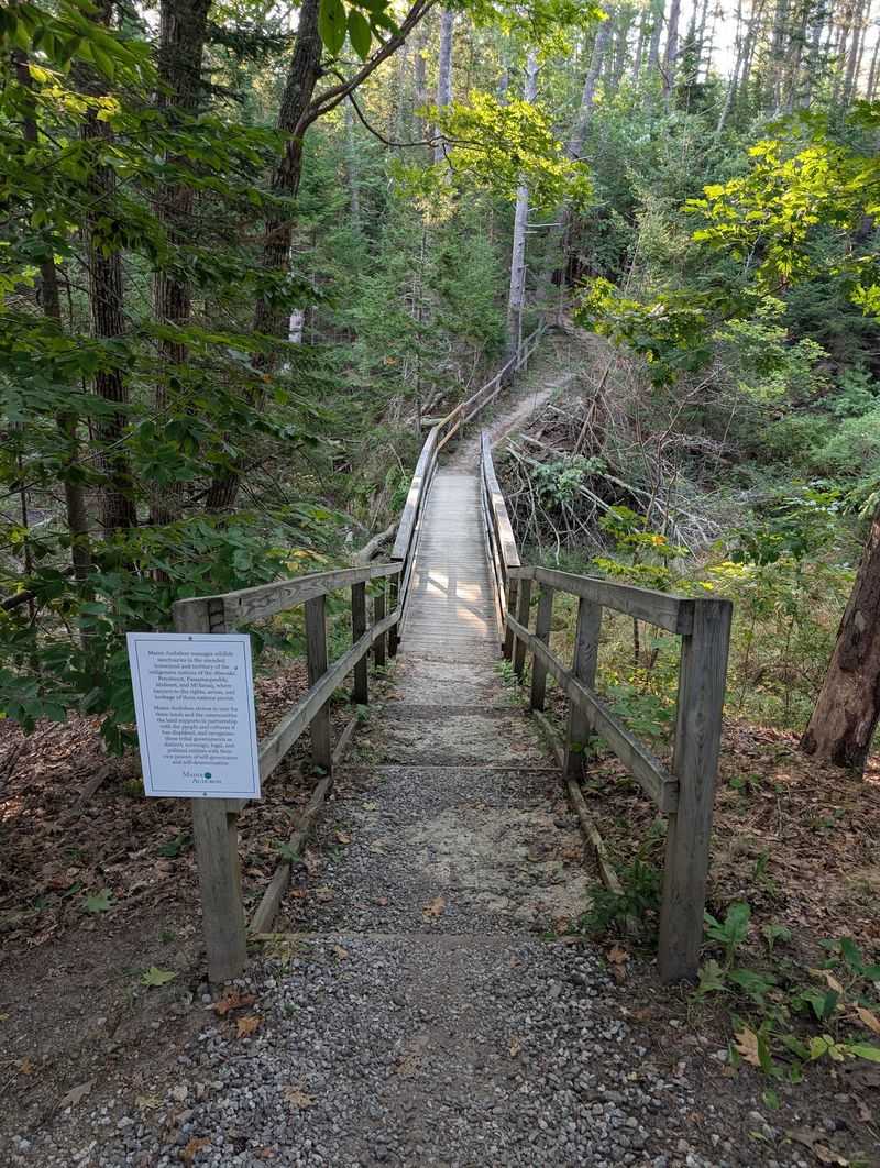 A Birdwatcher's Happy Place A Birdwatcher's Happy Place
