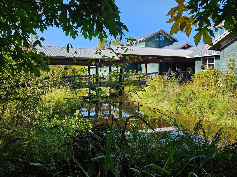 A Birdwatcher's Paradise A Birdwatcher's Paradise