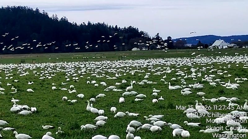 A Birdwatcher's Quiet Paradise
