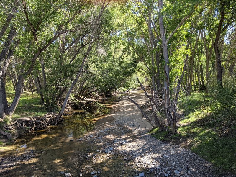 A Birdwatcher's Quiet Paradise