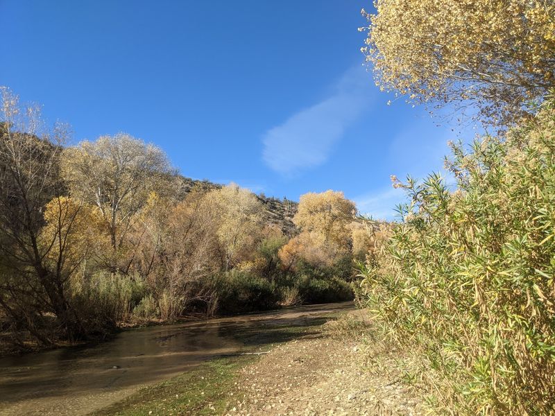 A Birdwatcher's Quiet Paradise