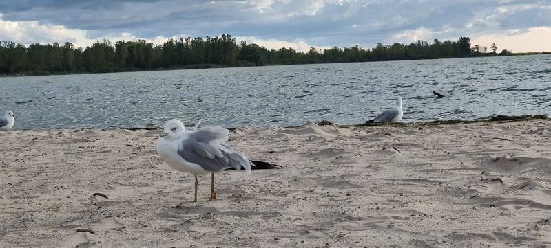 A Birdwatching Hotspot Hiding In Plain Sight