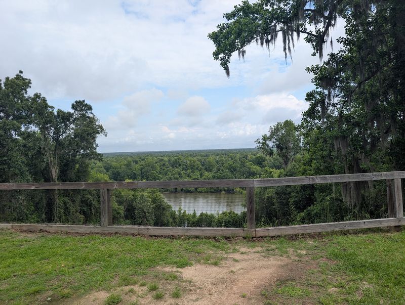 A Bluff That Breaks All Florida Rules