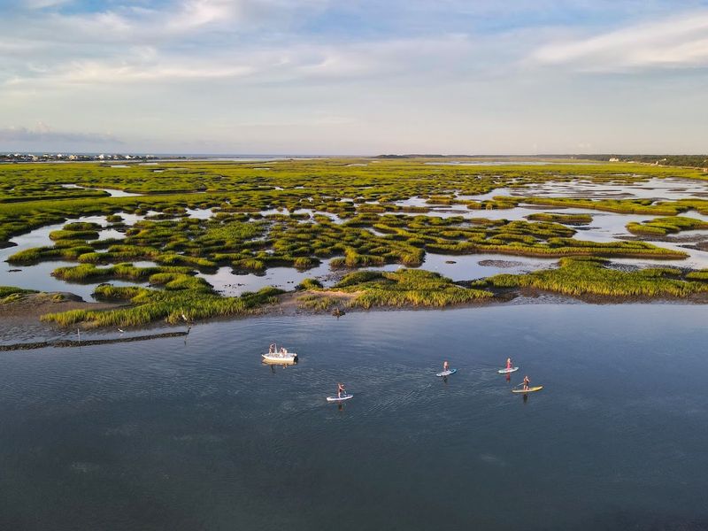 A Boardwalk Built Along A Living Estuary