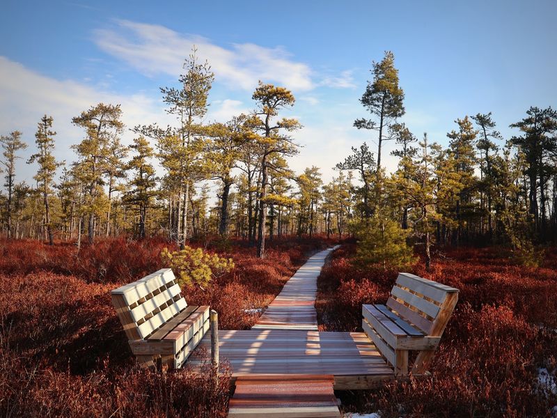A Boardwalk Built For Easy Strolling A Boardwalk Built For Easy Strolling