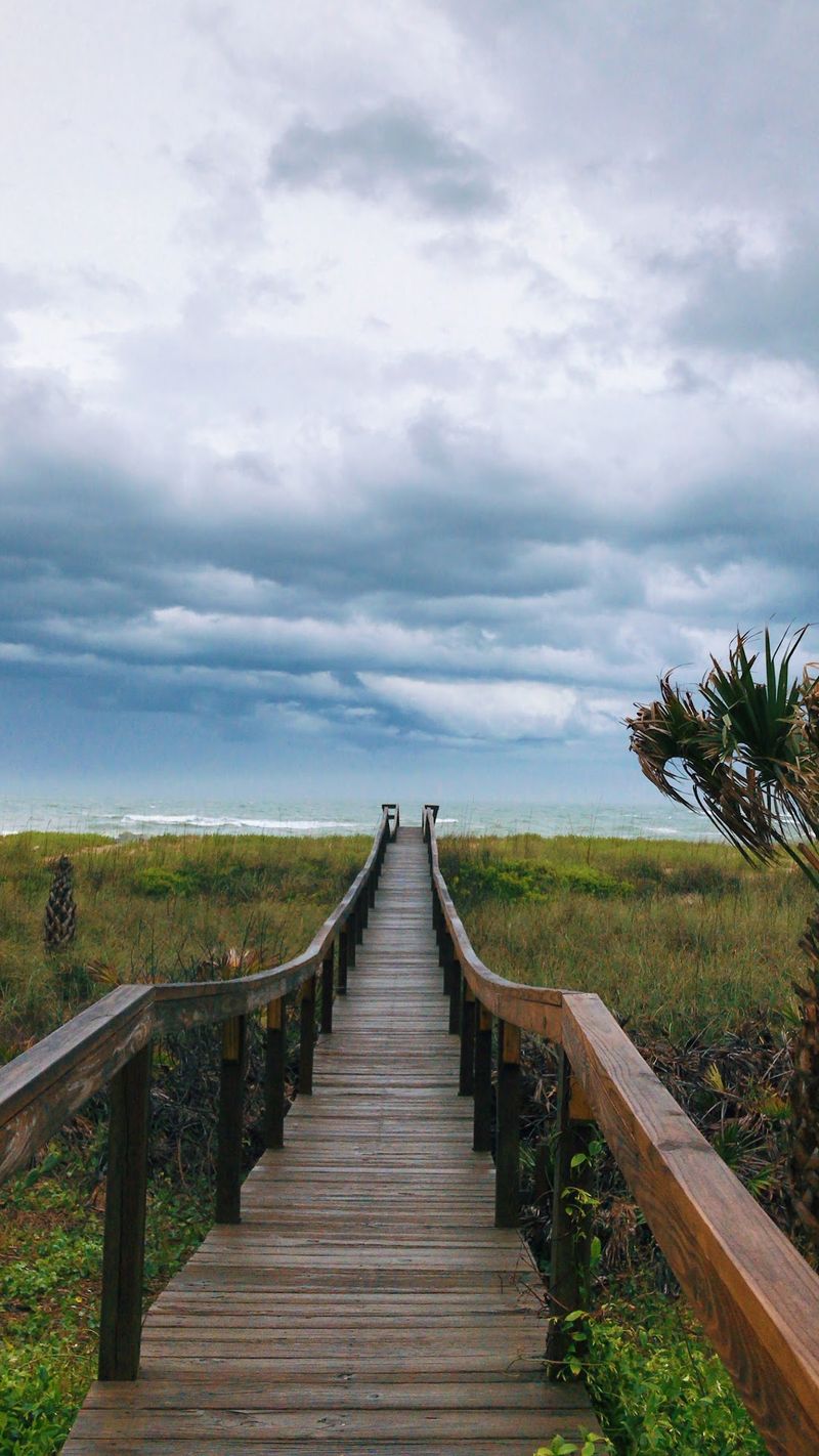 A Boardwalk Bursting With Mosaic Wildlife