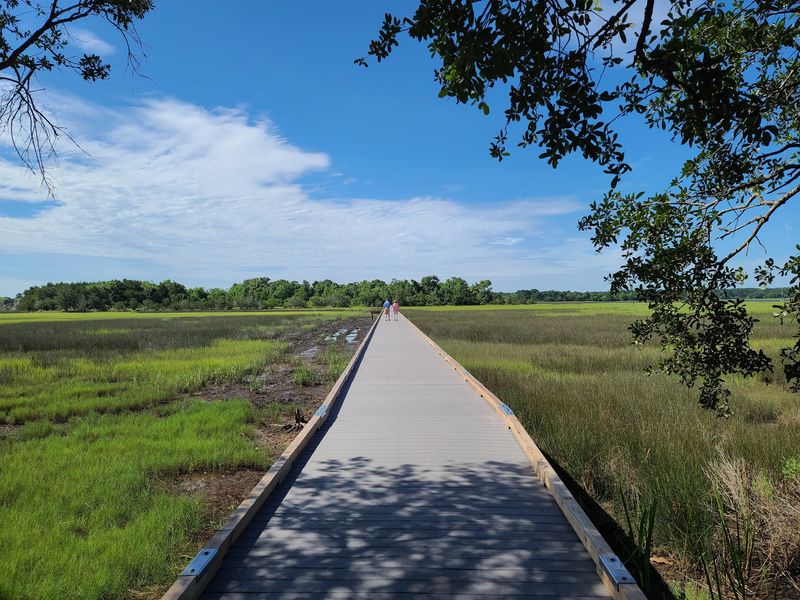 A Boardwalk That Turns Marsh Into A Hallway A Boardwalk That Turns Marsh Into A Hallway