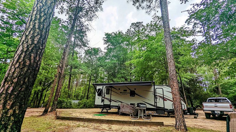 Camping Under The Trees With The Whole Family