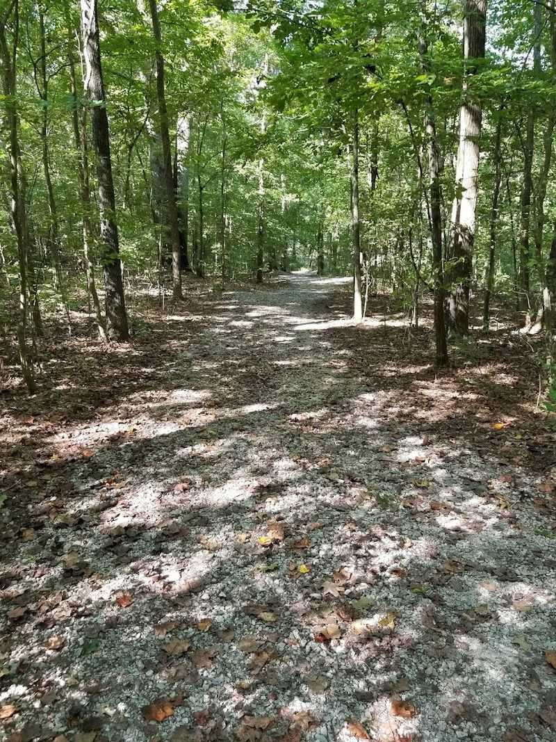 The Surprisingly Easy Trail