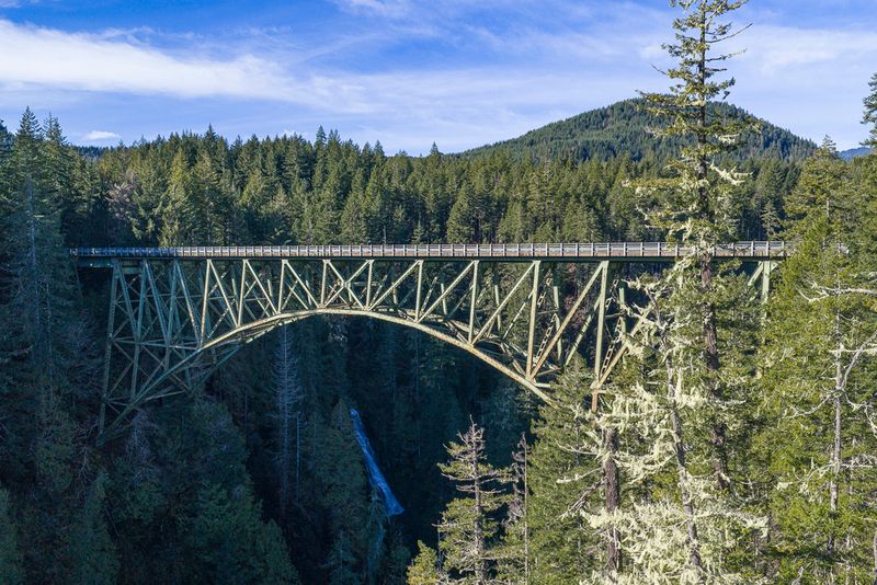 A Bold Structure Born From Logging History