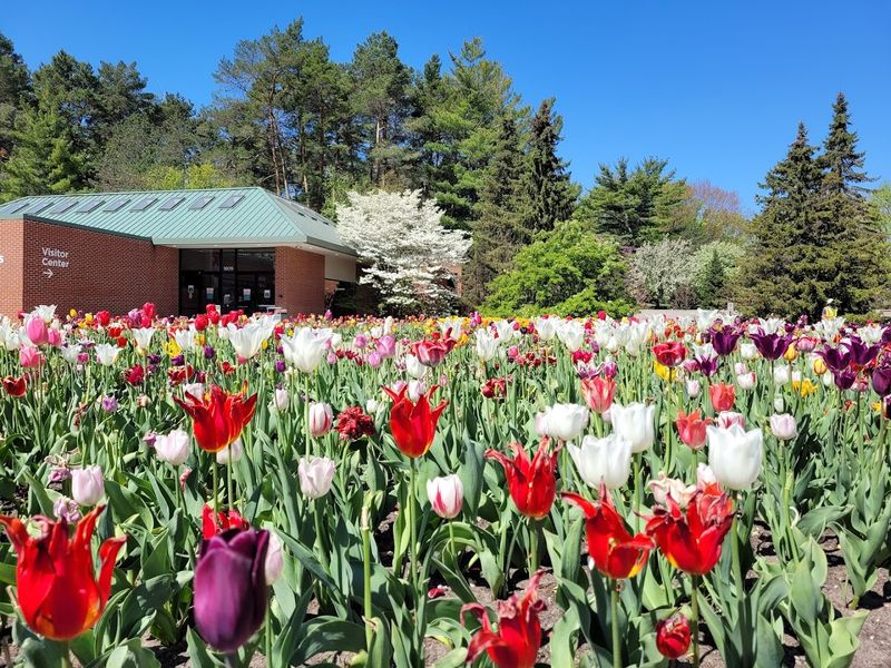 The Conservatory And Butterflies
