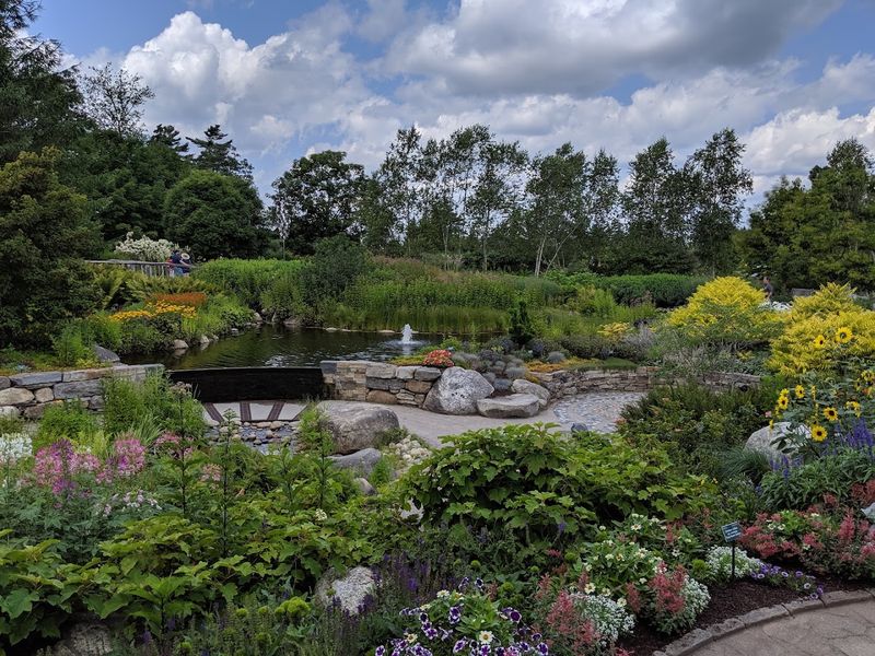 A Botanical Garden That Feels Endless