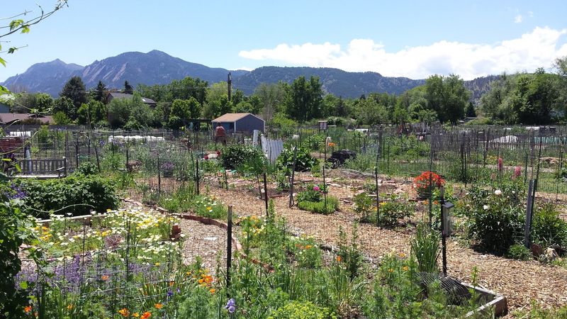 A Boulder Grocery Detour With Roots In Community