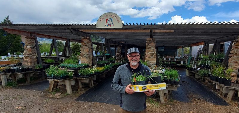 A Boulder Nursery Built Around The Real Colorado Yard