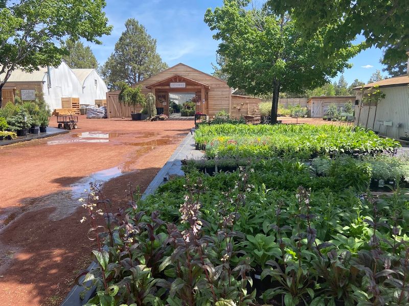 A Boutique Plant Nursery That Actually Gets You Excited About Gardening A Boutique Plant Nursery That Actually Gets You Excited About Gardening