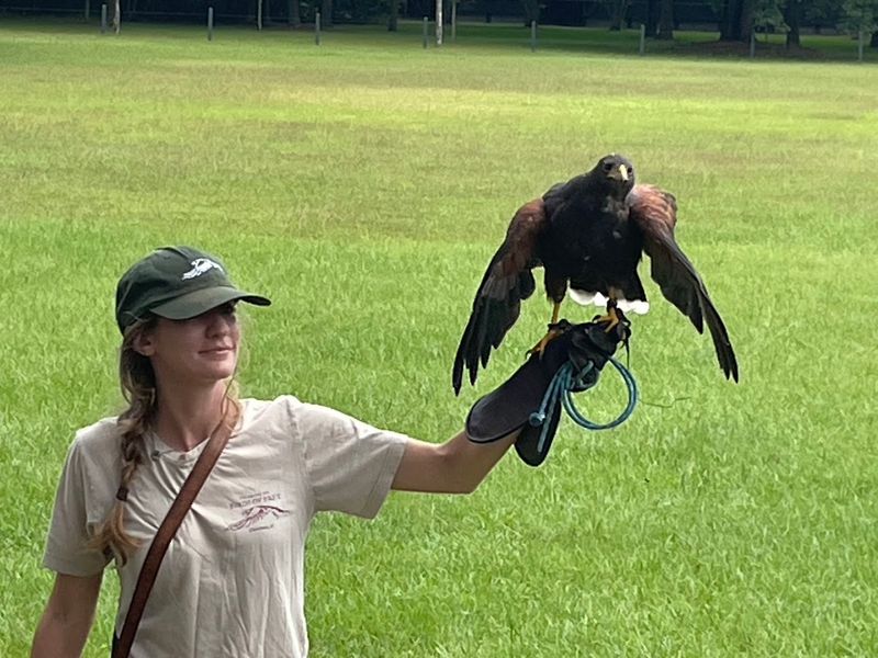 A Breeding Program Quietly Helping Wild Populations Recover