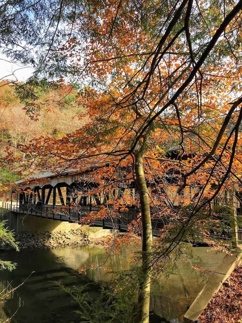 A Bridge With Deep Roots And Real Character