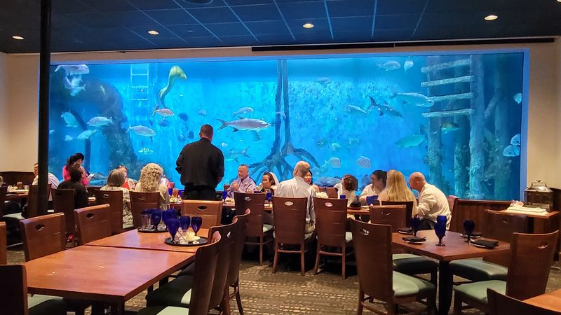 Decor, Ambiance, And The Aquarium