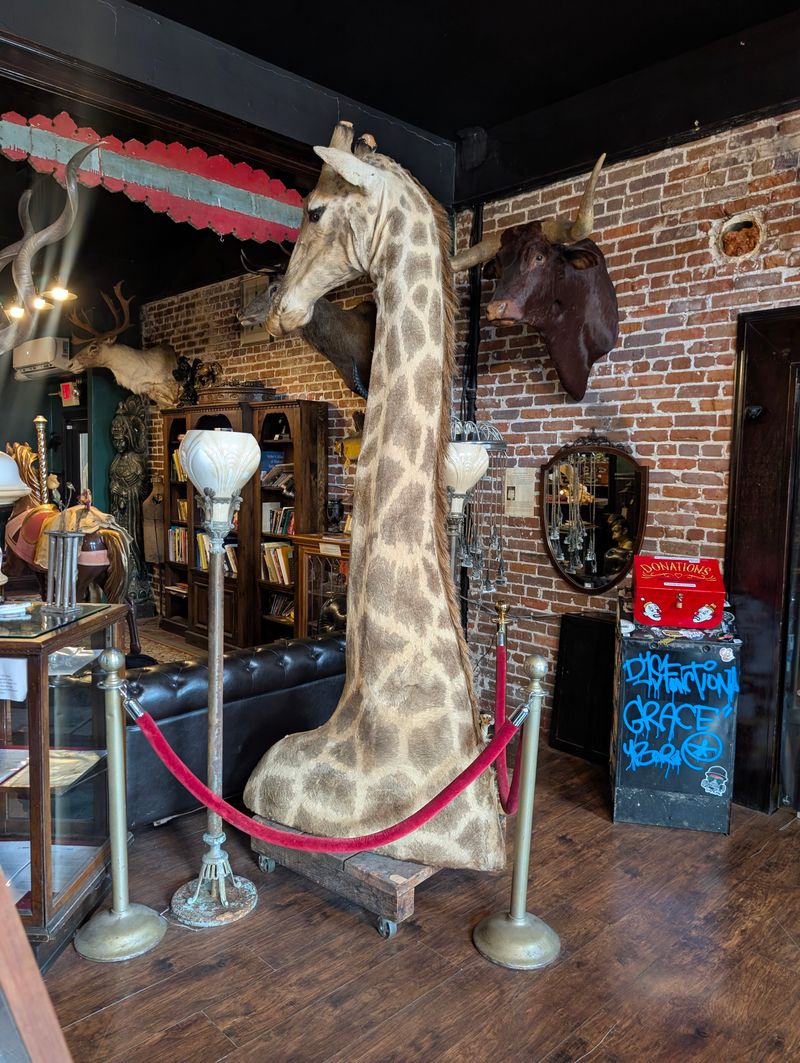 Decor, Ambiance, And Setting