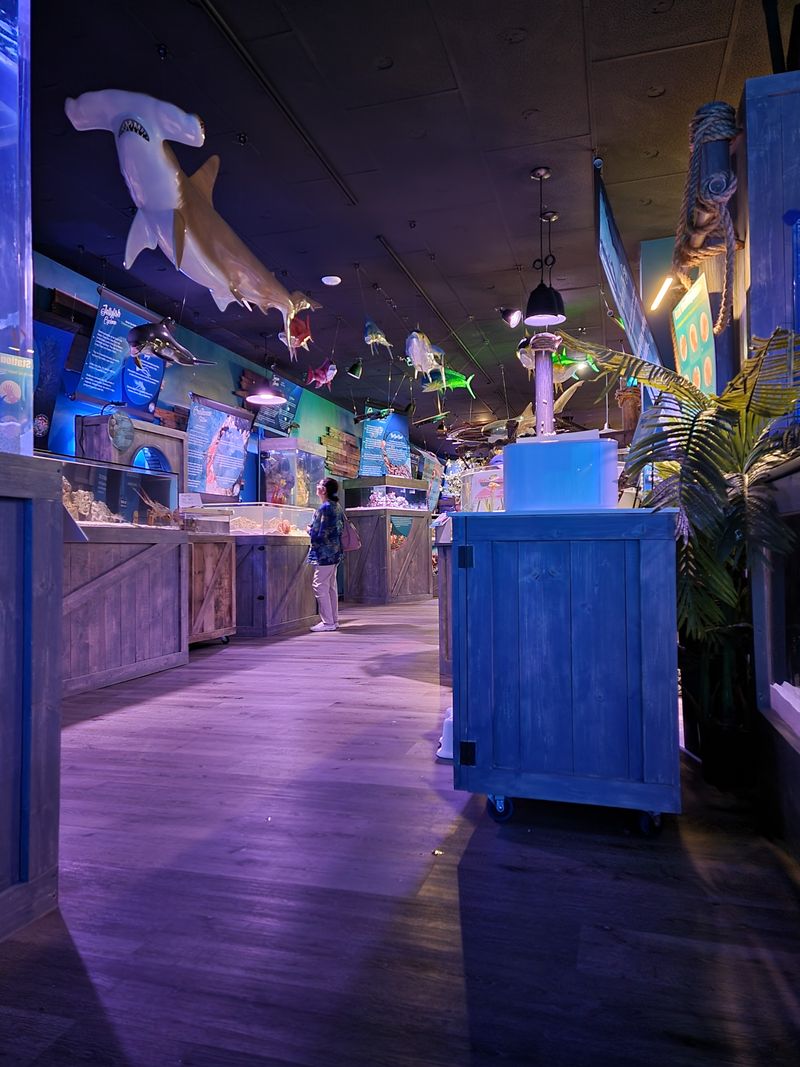 Decor, Ambiance, And The Sense Of Place