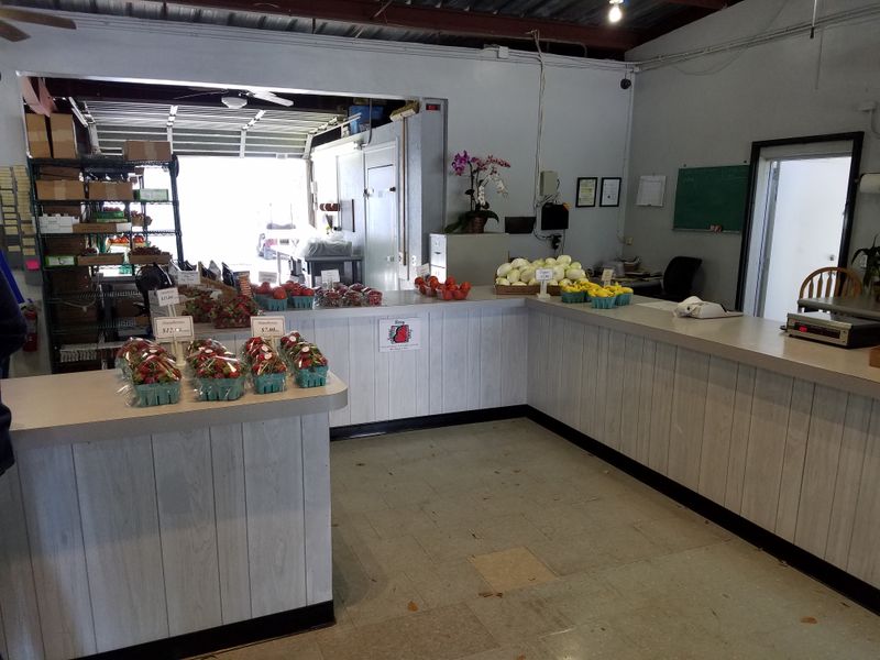 The Famous Cinnamon Rolls Everyone Talks About